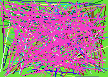 phone number lookup